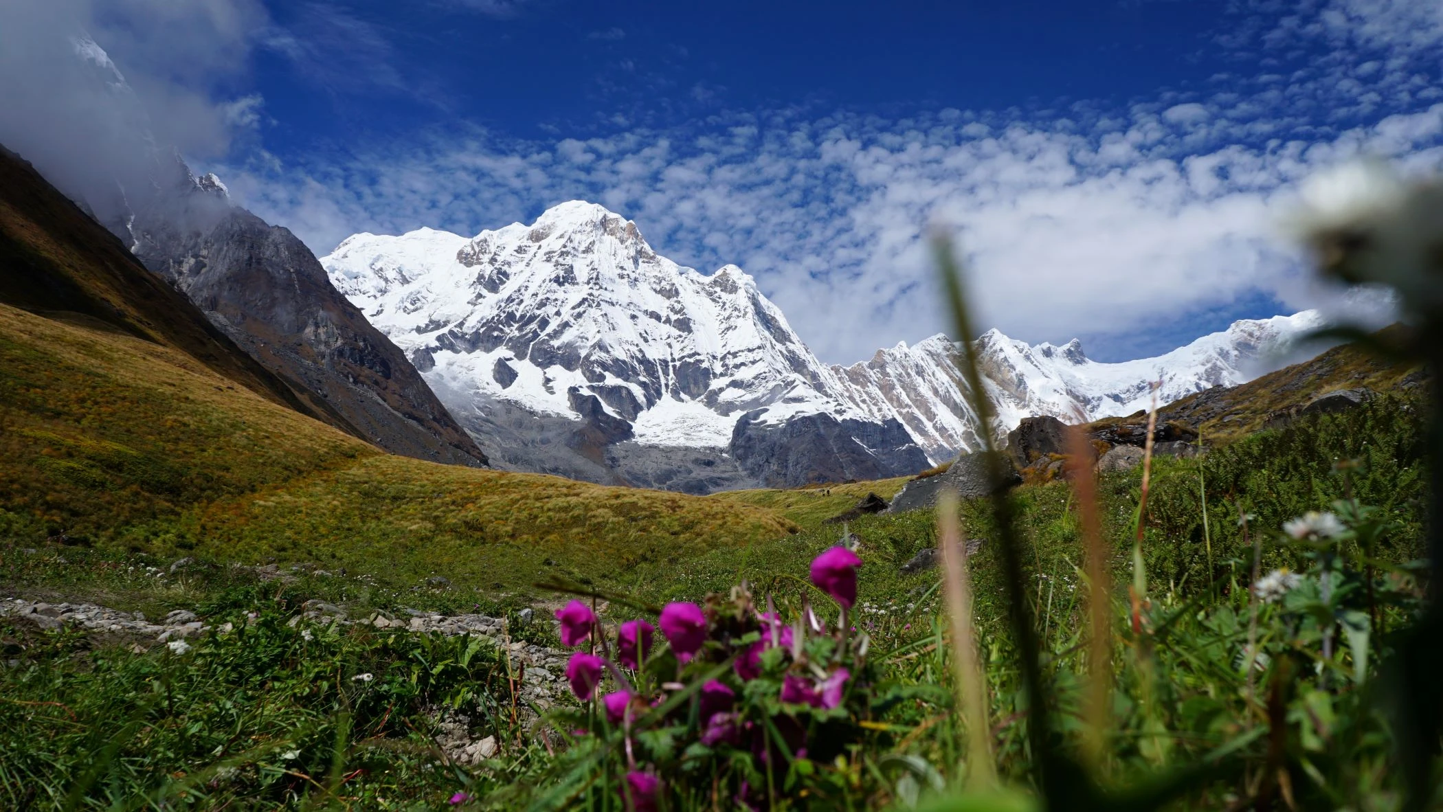 Annapurna Sanctuary| Annapurna Base Camp Trek